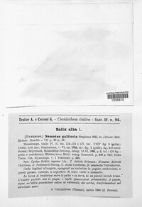 Image Associated With the Occurence